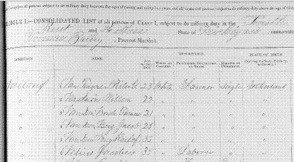 Roelof Van den Berg in the draft for the Civil War, 1863